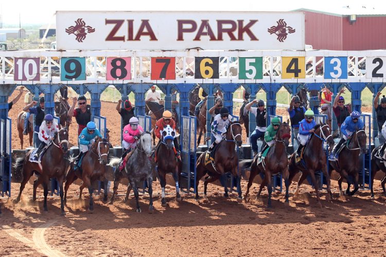 zia park casino horse races